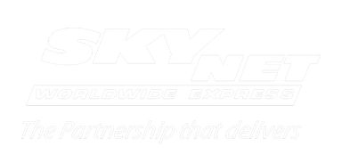 SkyNet